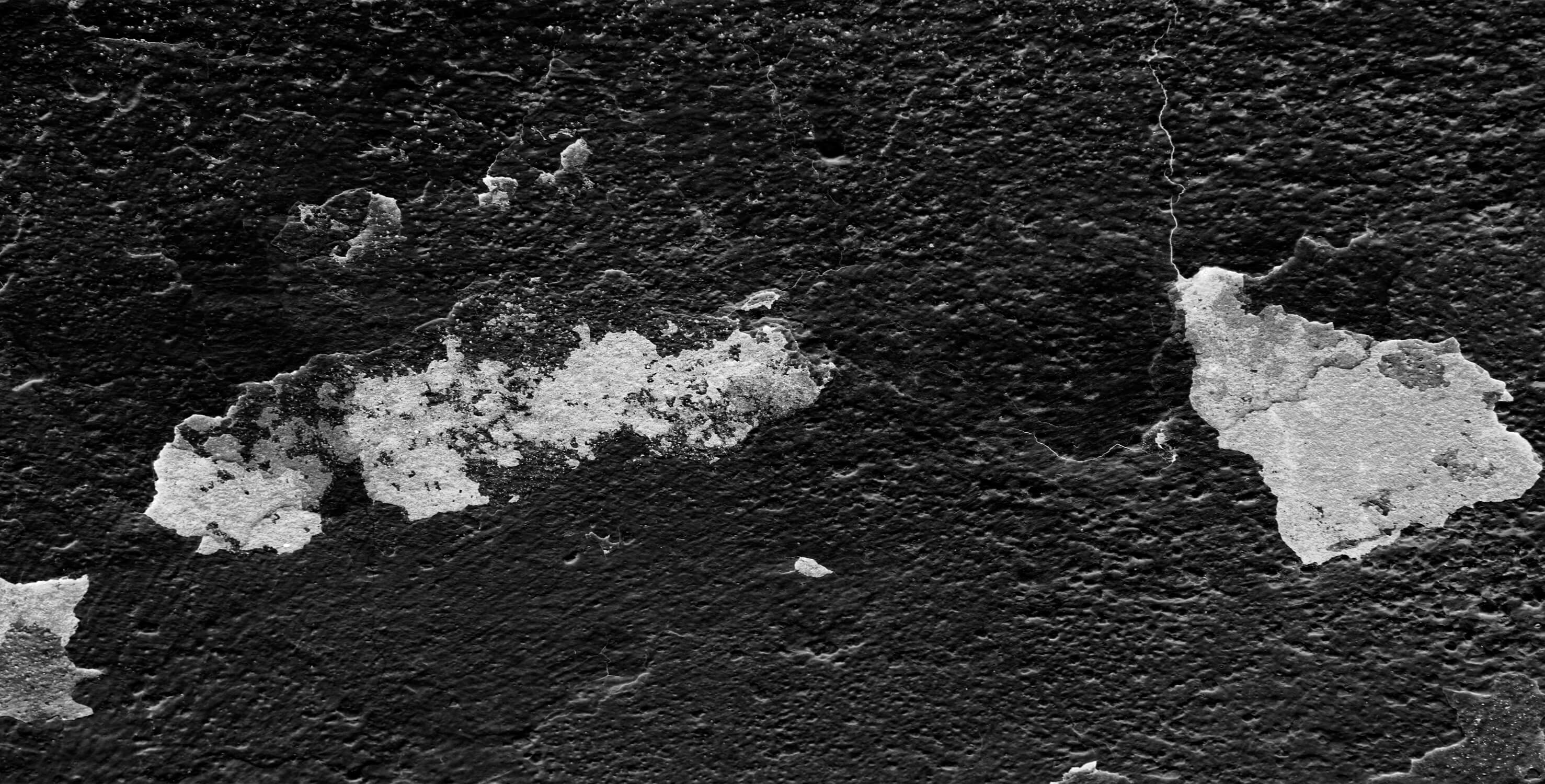 Black Wainscoting Wallpaper | Murals Wallpaper