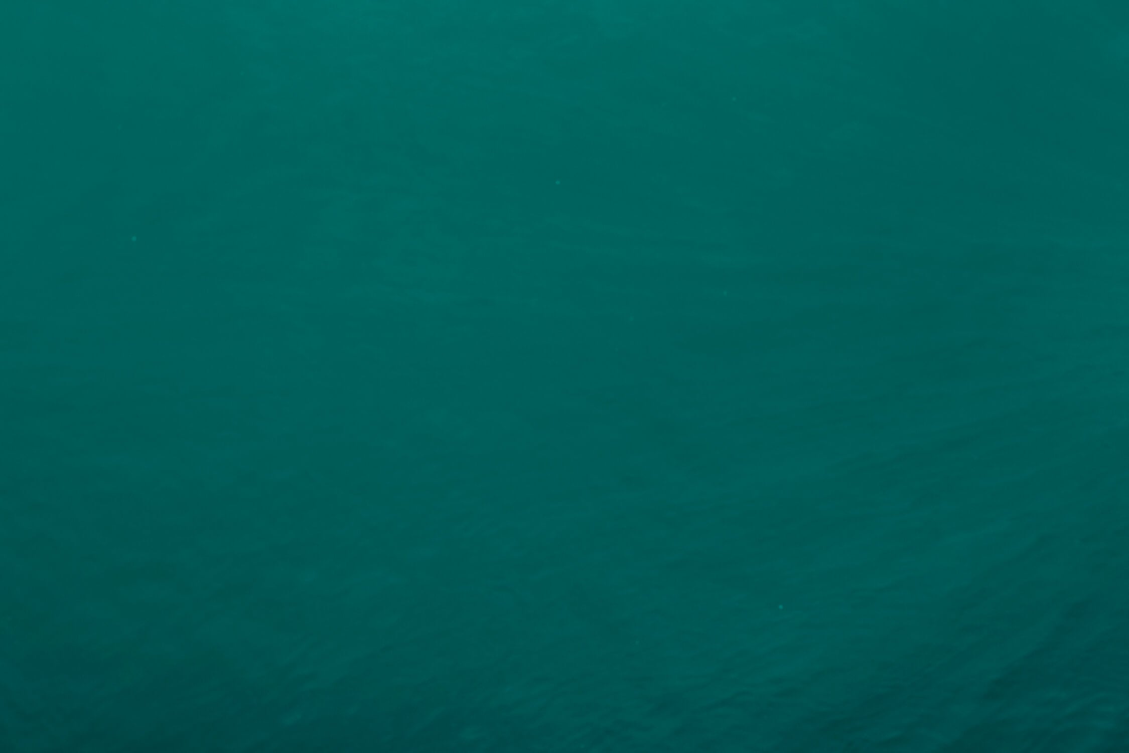 Emerald Wallpaper | Murals Wallpaper