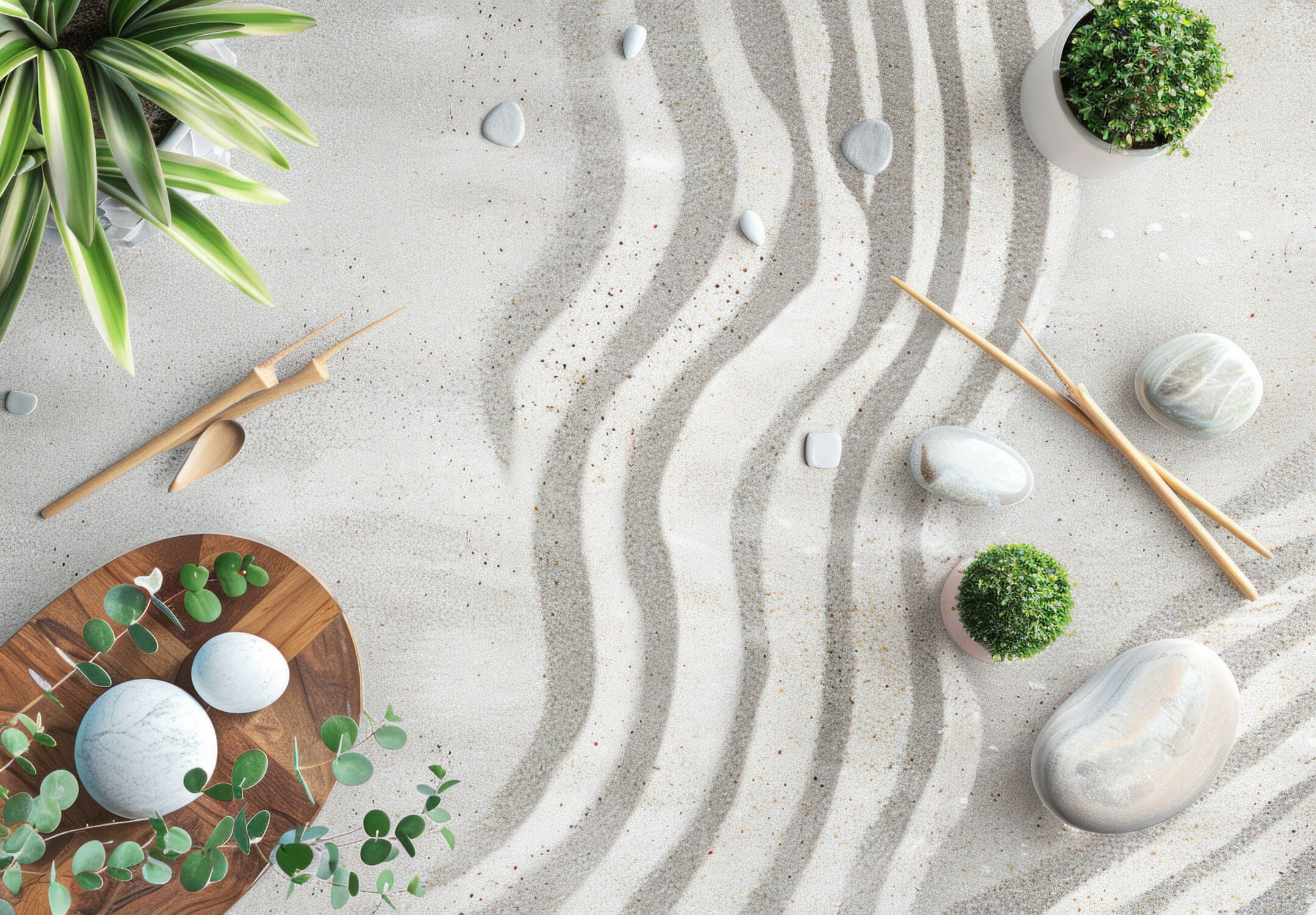 Zen Toilet Wallpaper | Murals Wallpaper