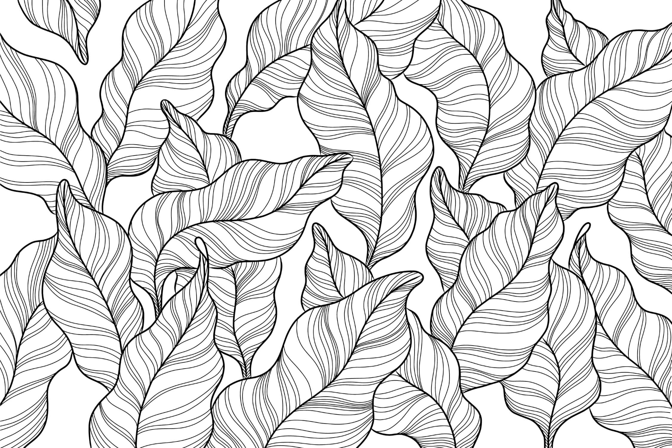 Black and White Wallpaper for Bathroom | Murals Wallpaper