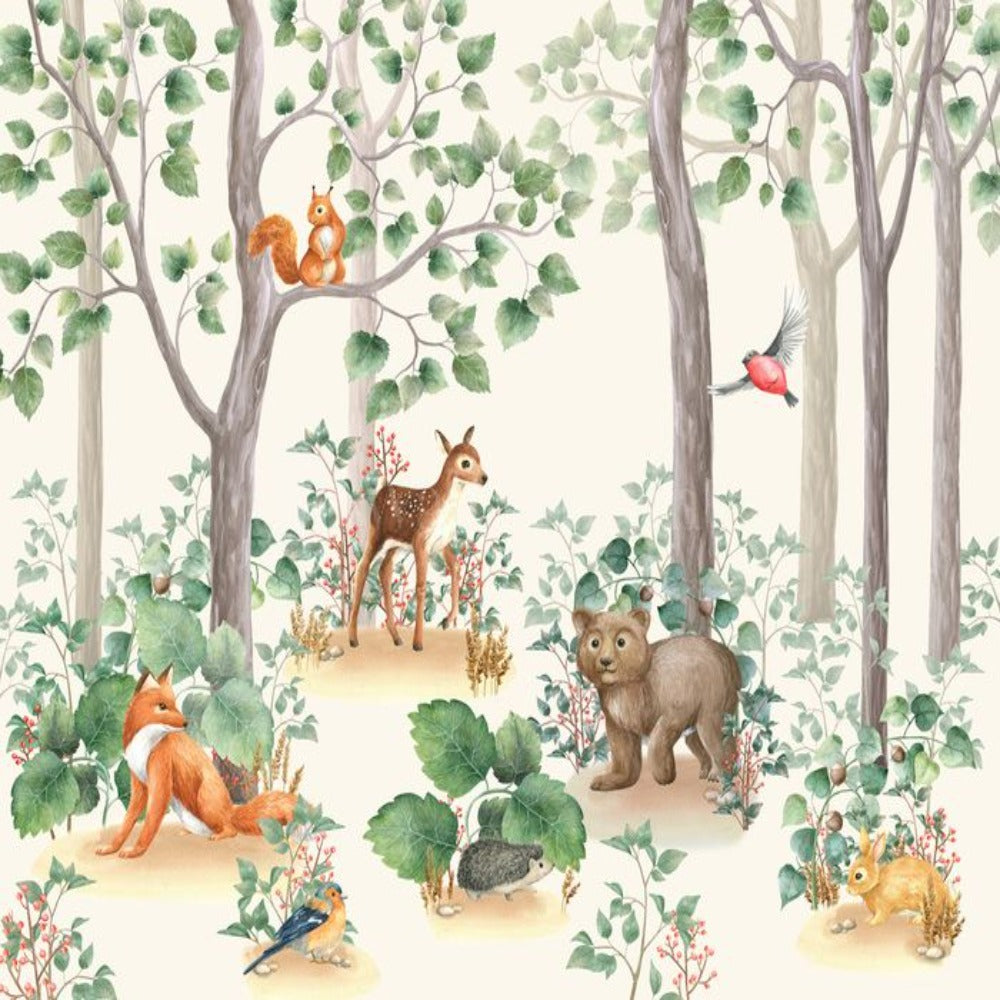 Wildlife Wallpaper <br/> Forest Mural | Murals Wallpaper
