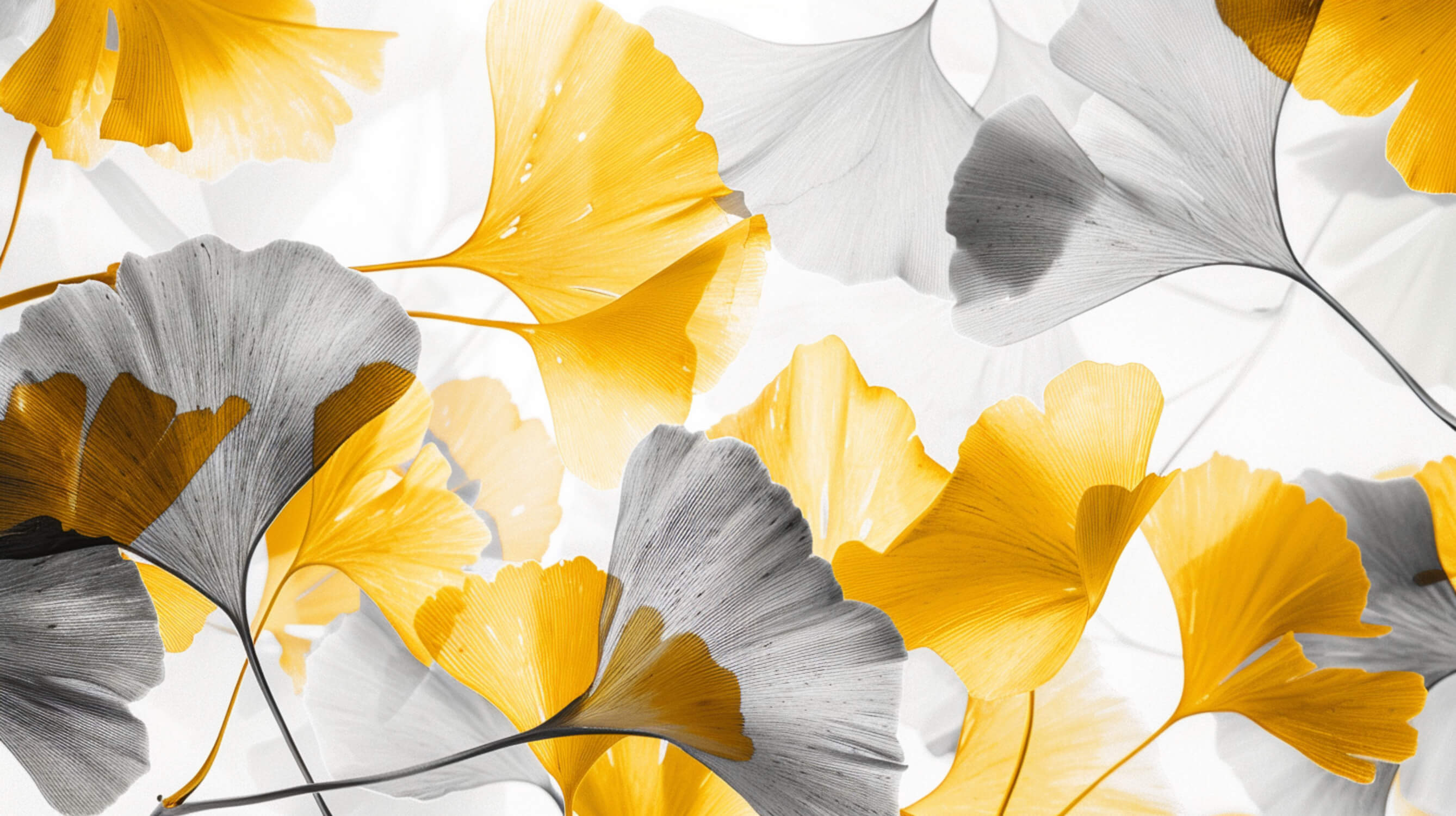 Gray and Yellow Wallpaper | Murals Wallpaper