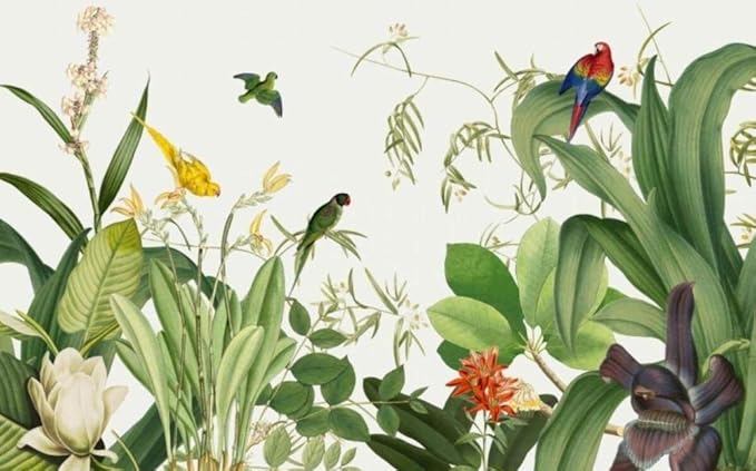Exotic Birds Wallpaper | Murals Wallpaper