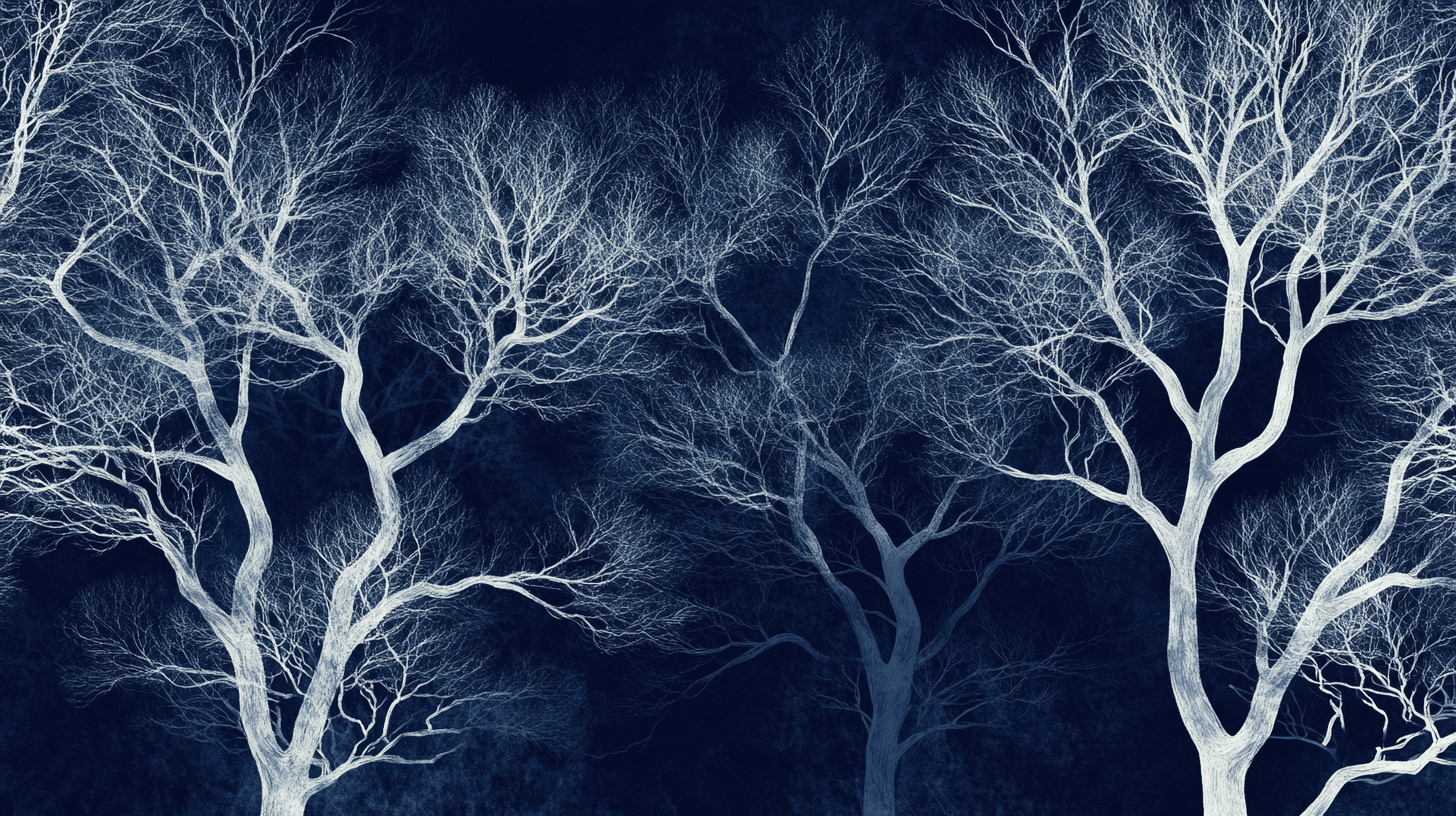 Nocturnal White Tree Wallpaper | Murals Wallpaper