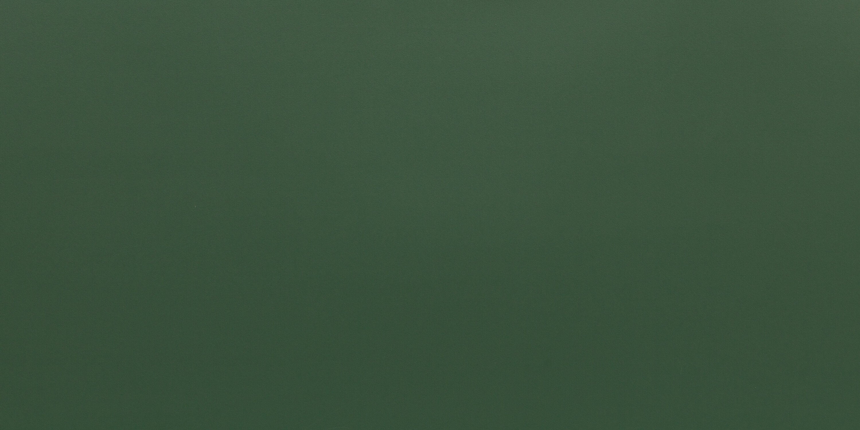 Pine Green Wallpaper | Murals Wallpaper