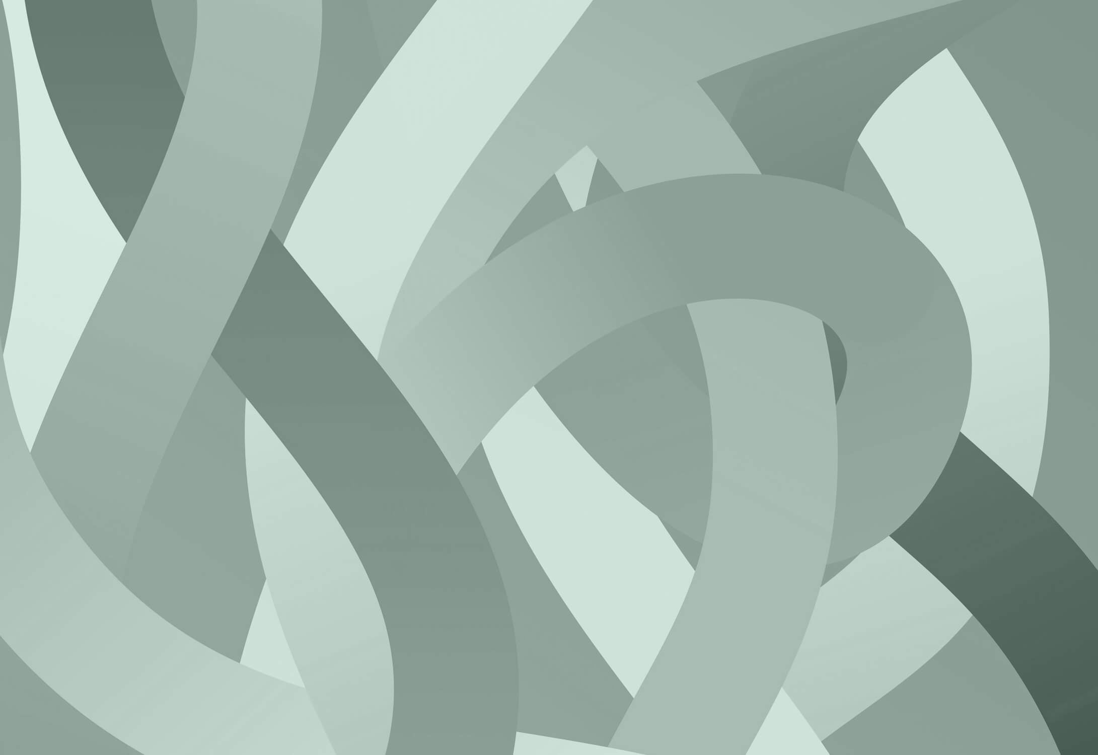 Grayish Green Children's Wallpaper | Murals Wallpaper