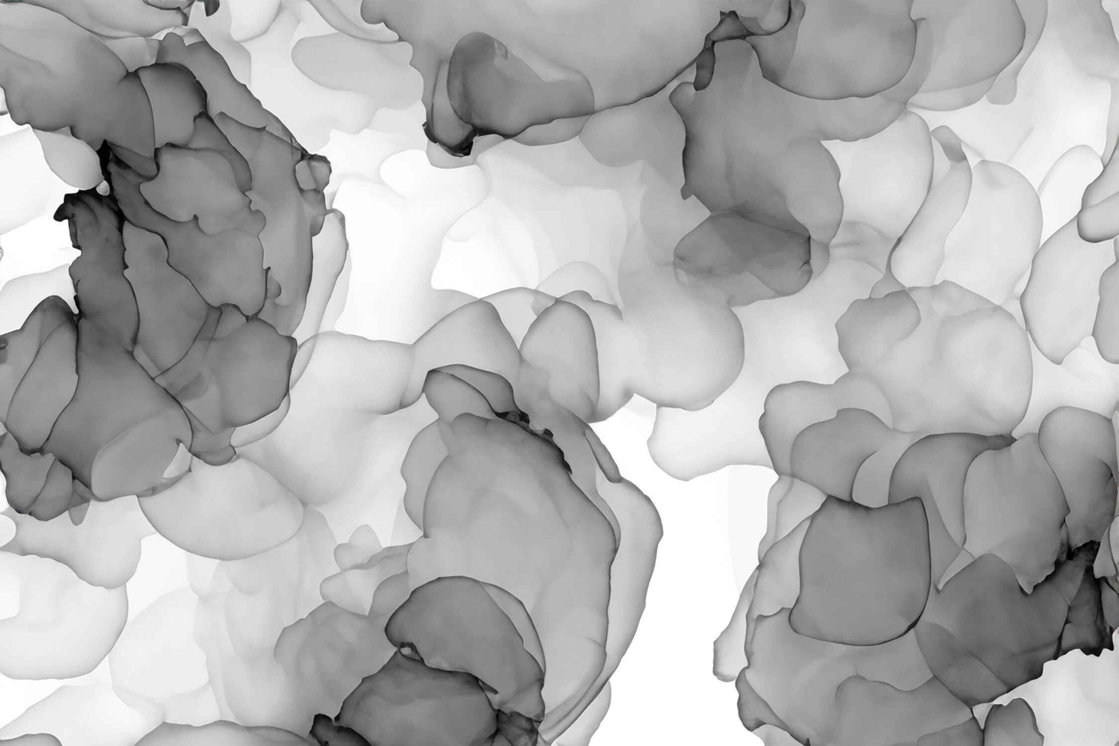 Black White Gray Wallpaper | Murals Wallpaper