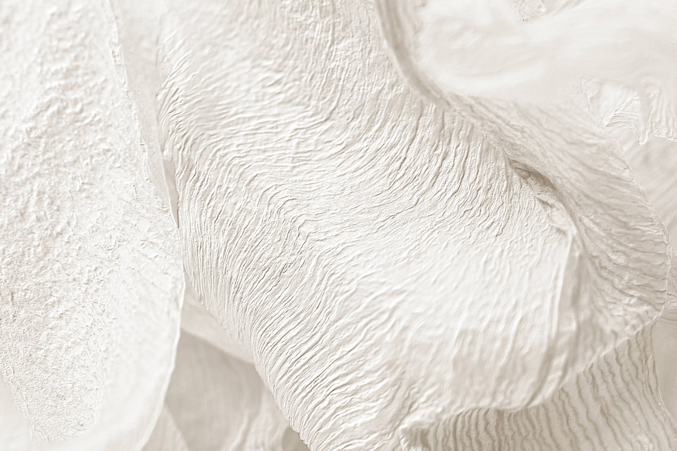 Cocooning Trend Wallpaper | Murals Wallpaper