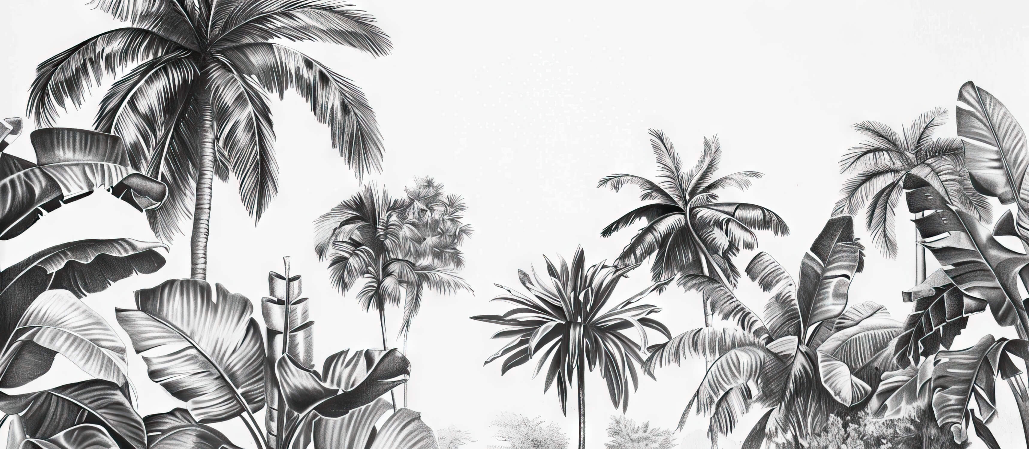 Black Bathroom Wallpaper | Murals Wallpaper