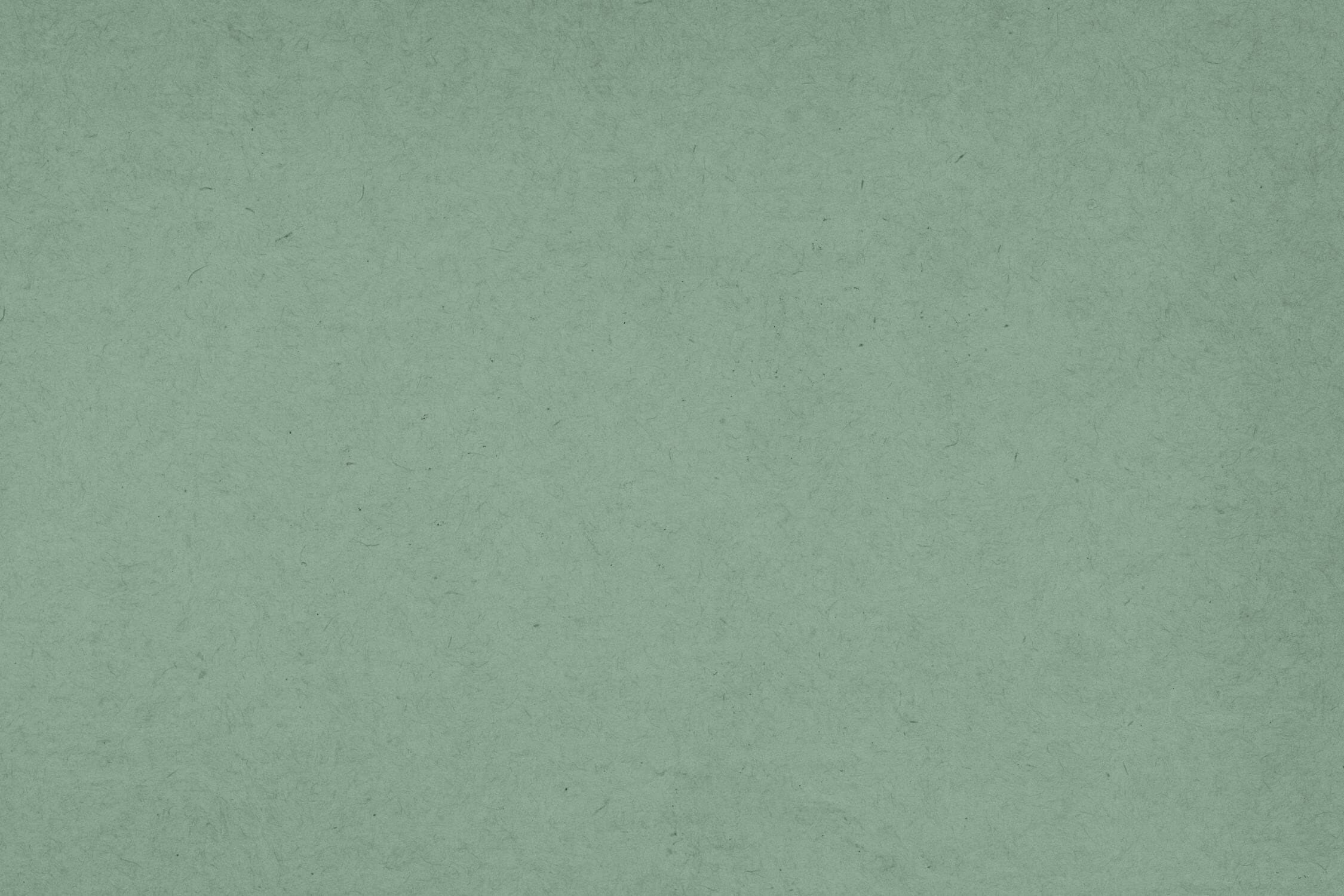 Sage Green Solid Wallpaper | Murals Wallpaper