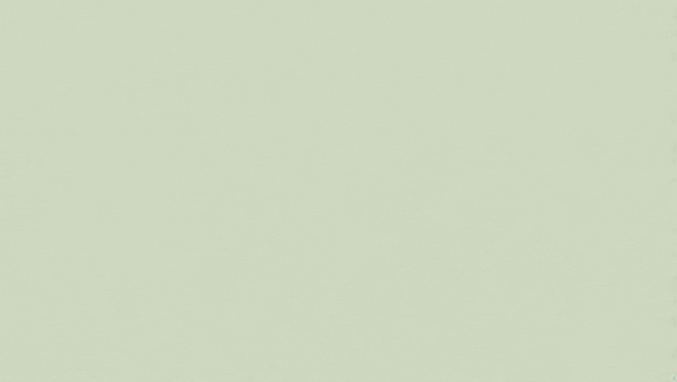 Almond Green Wallpaper for Bedroom | Murals Wallpaper