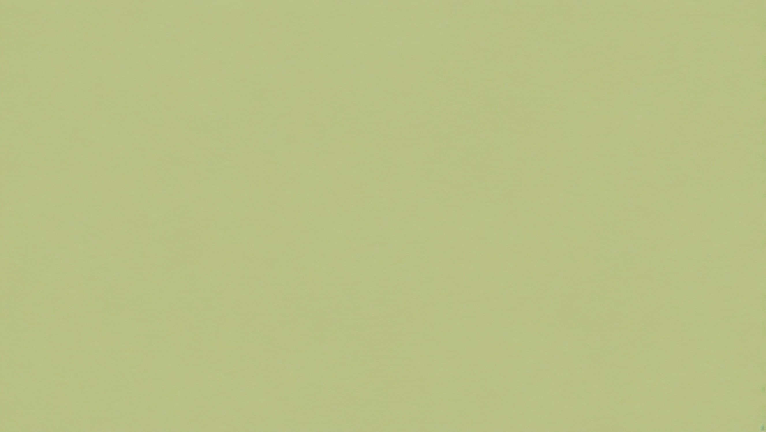 Bamboo Green Wallpaper | Murals Wallpaper