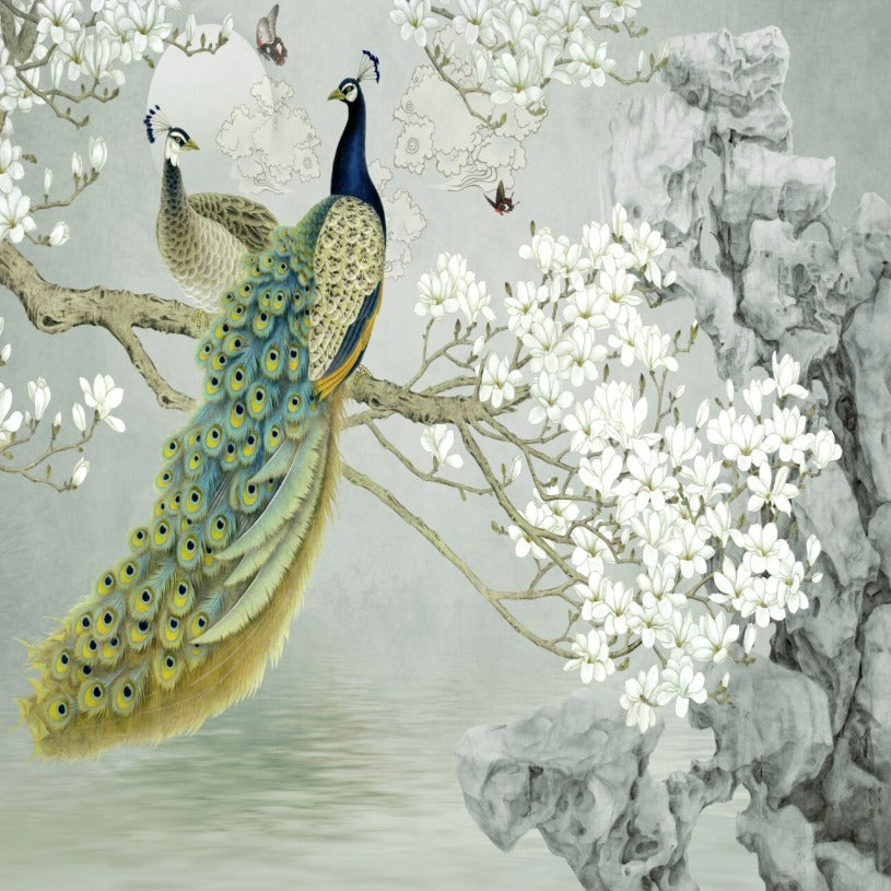 Bird Wallpaper <br/> Peacock | Murals Wallpaper