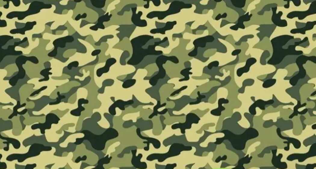 Military Camouflage Wallpaper | Murals Wallpaper