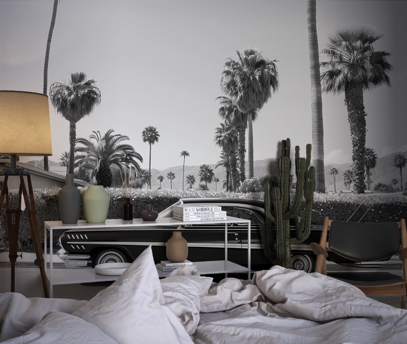 Schwarz-Weiß-Wallpaper mit Miami-Auto | Wandbilder