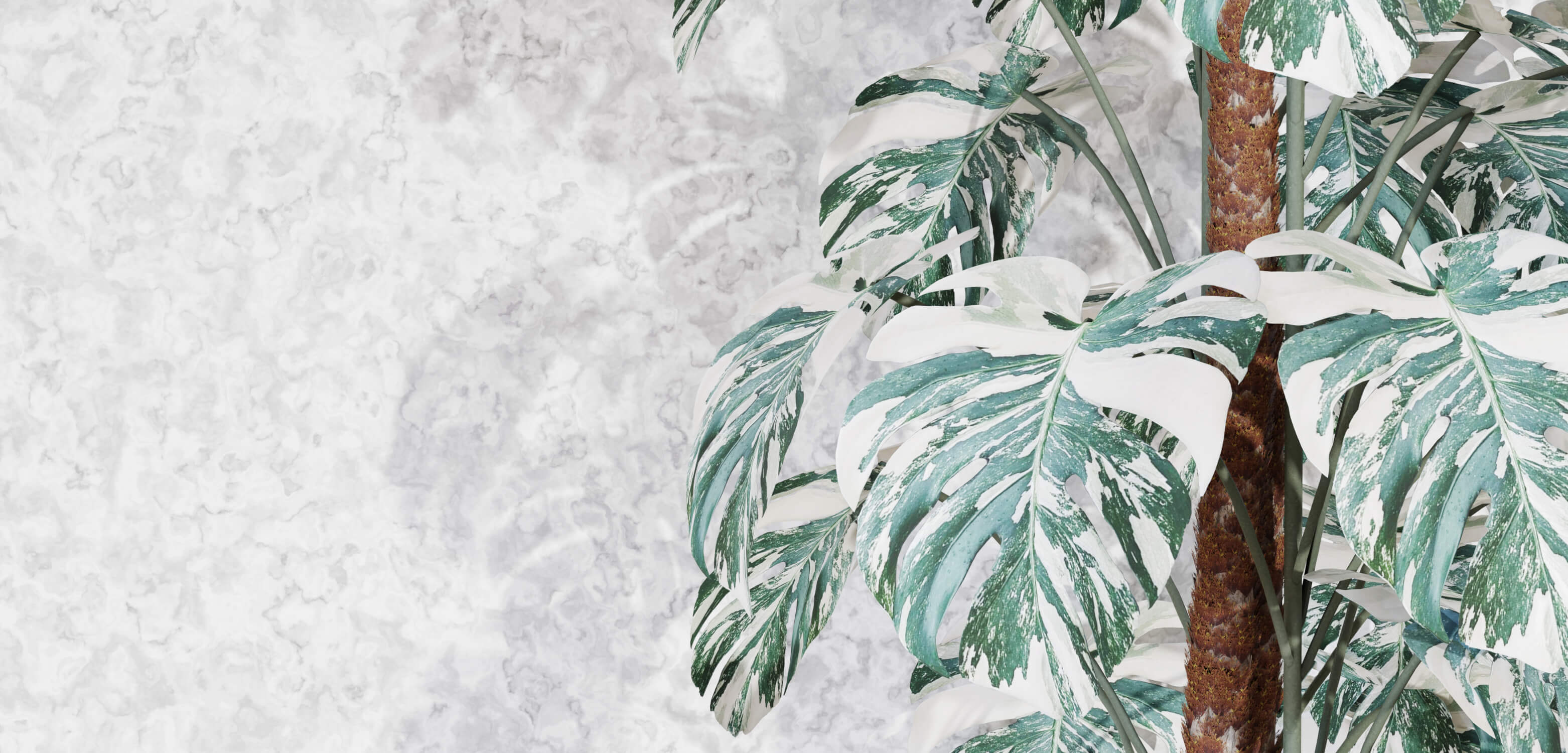 Green Palm Wallpaper | Murals Wallpaper