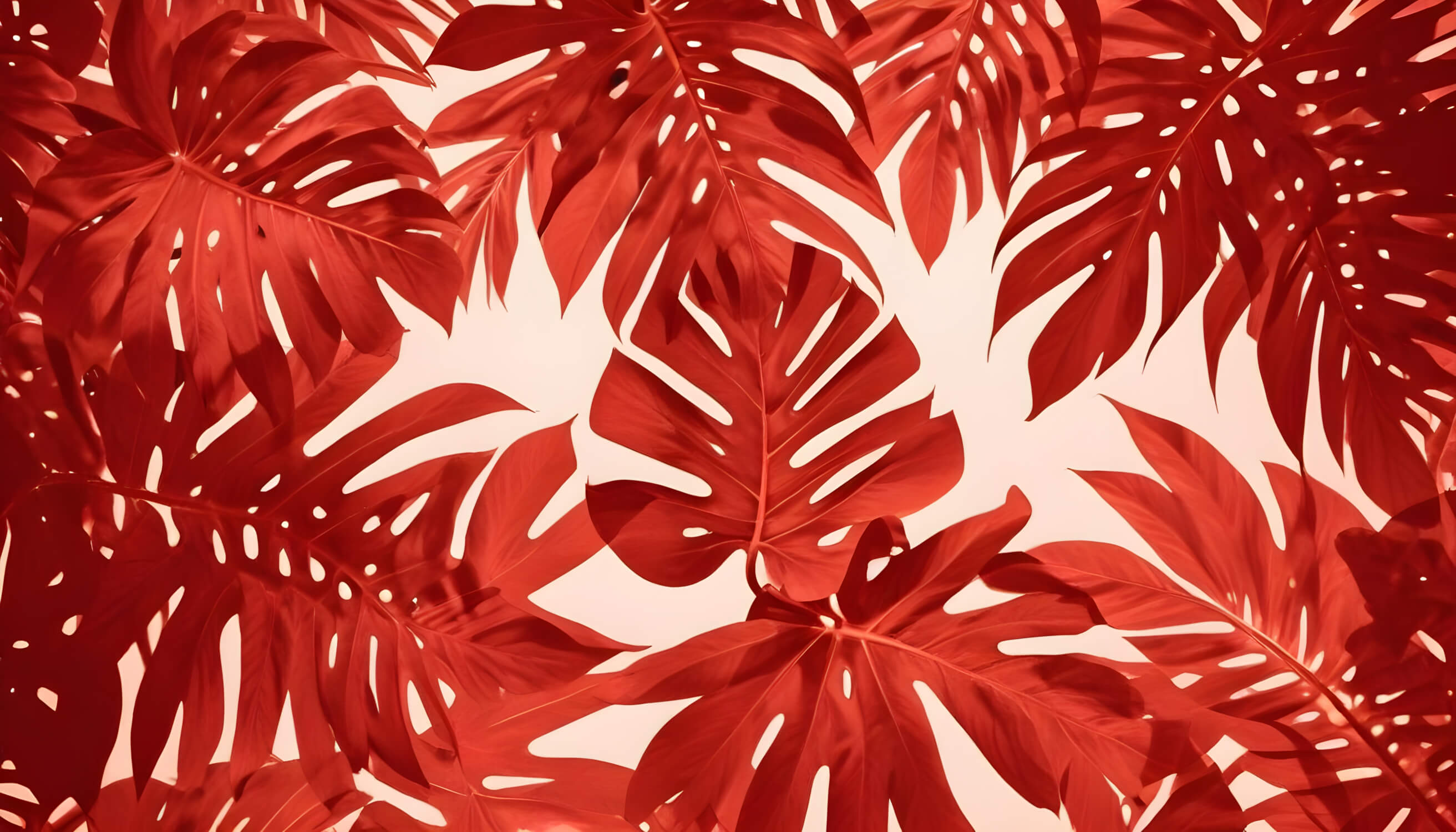 Red Wallpaper | Murals Wallpaper