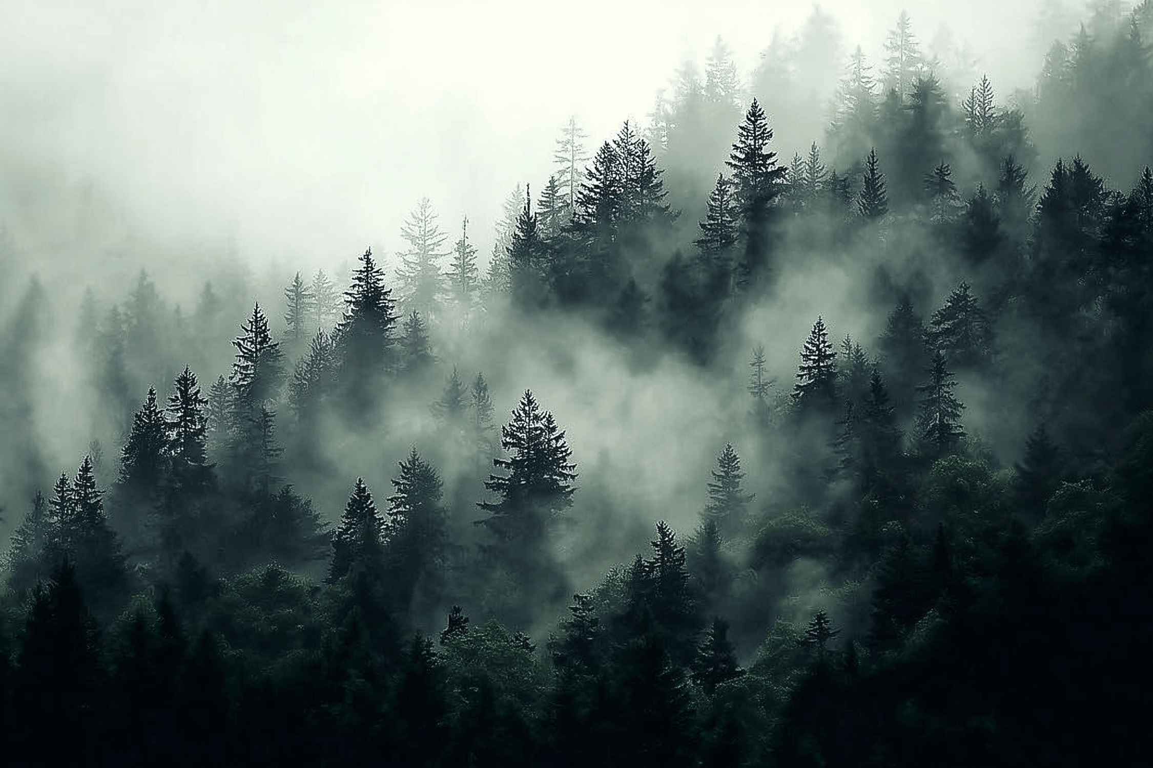 Mist Forest Mural Wallpaper