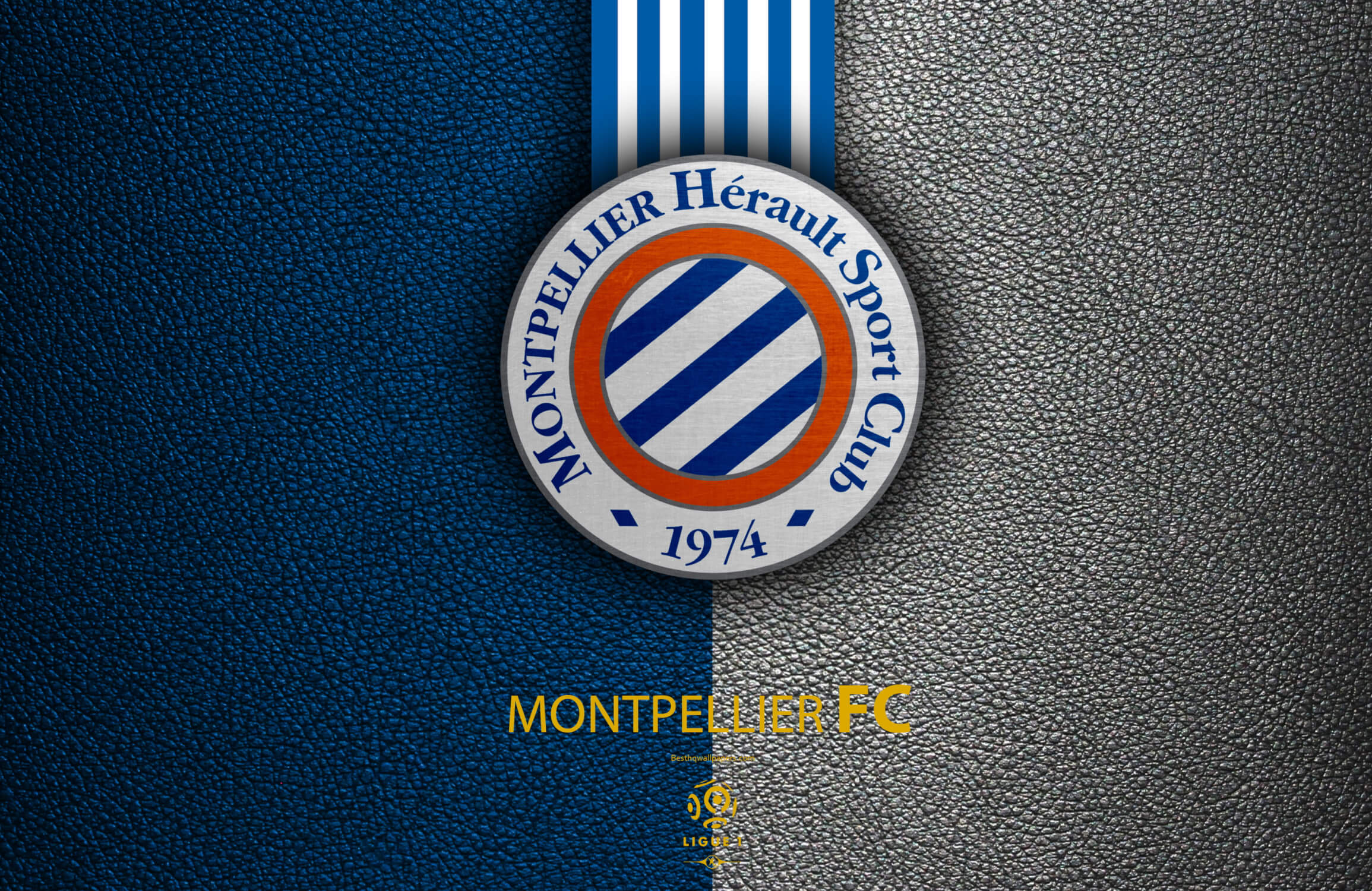 Teen Room Wallpaper Fire Soccer | Murals Wallpaper