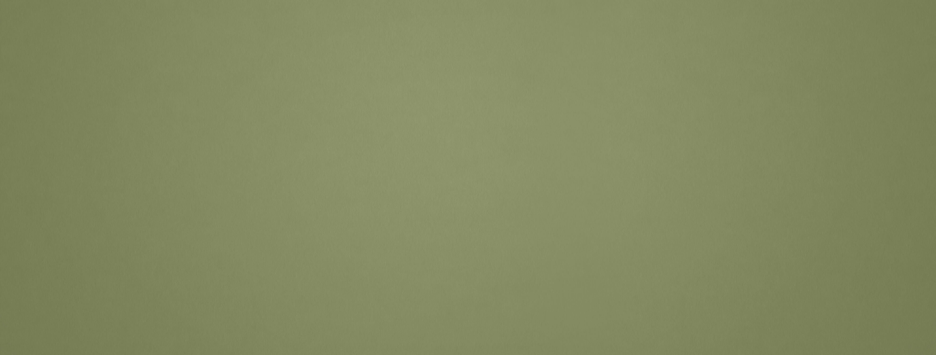 Olive Green Wallpaper | Murals Wallpaper