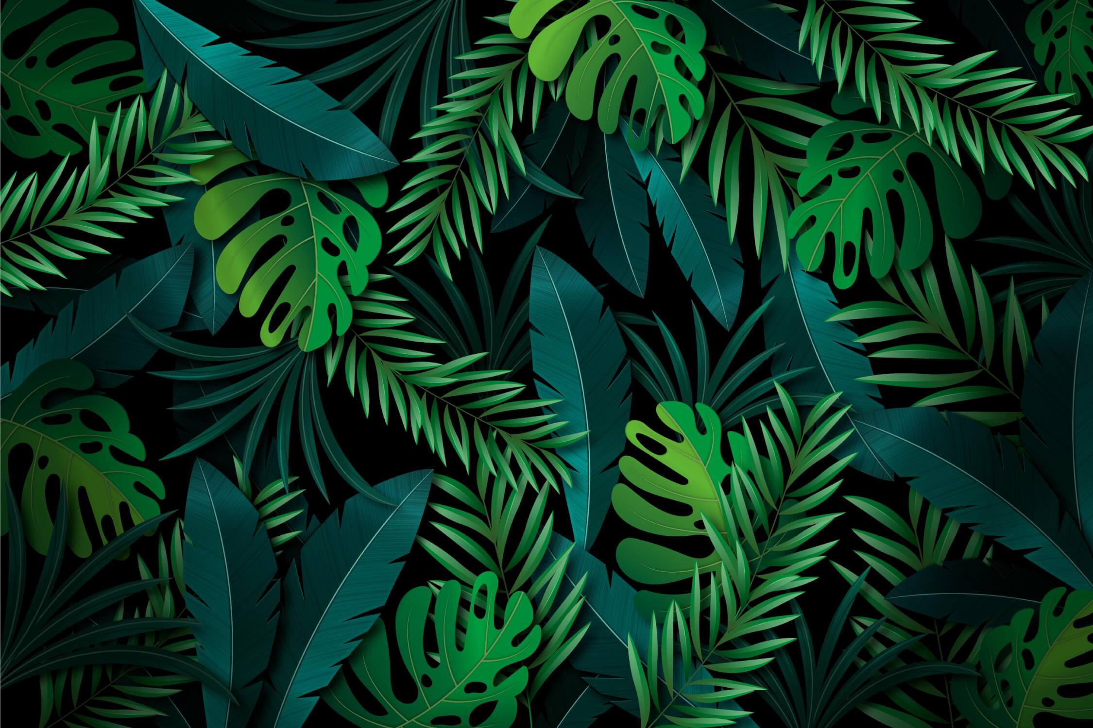 Black and Green Jungle Wallpaper | Murals Wallpaper