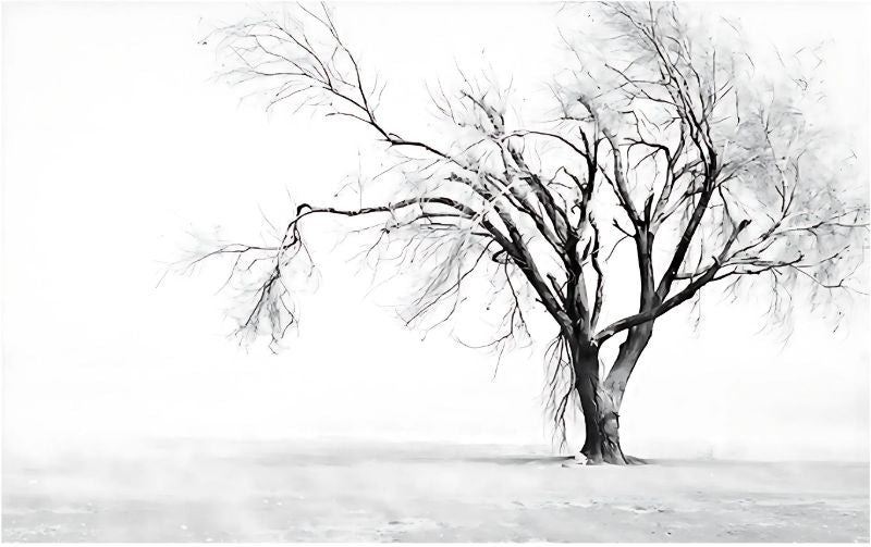 Mural Black and White Tree Wallpaper