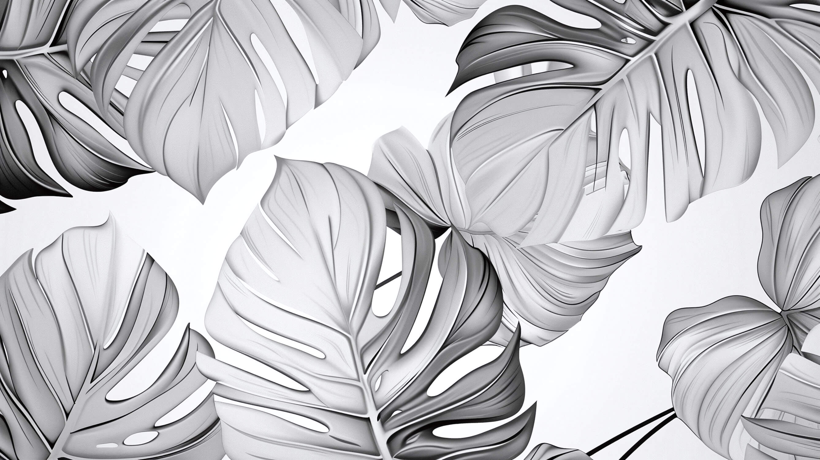 White and Gray Wallpaper | Murals Wallpaper