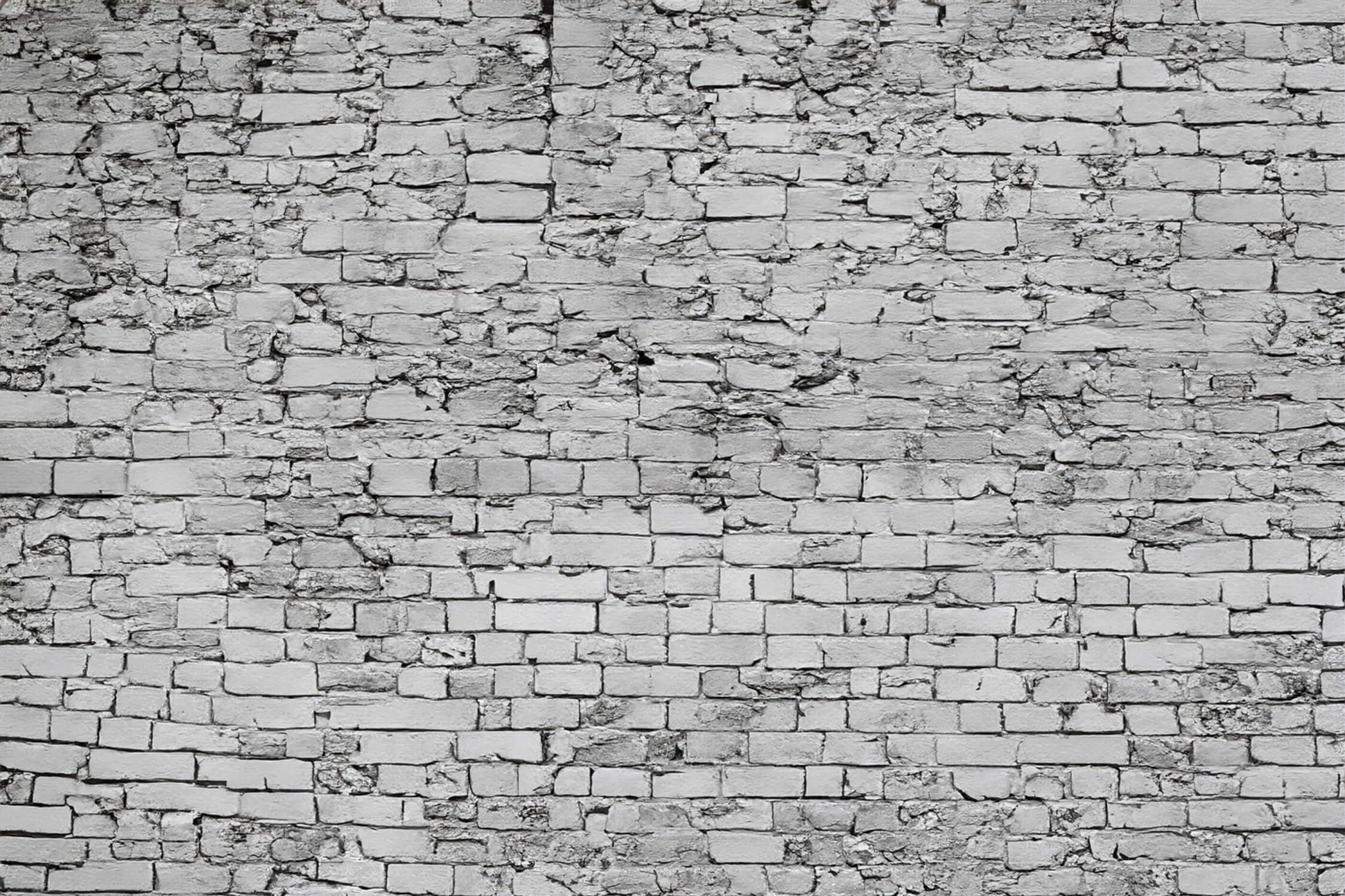 Light Gray Stone Effect Wallpaper | Murals Wallpaper