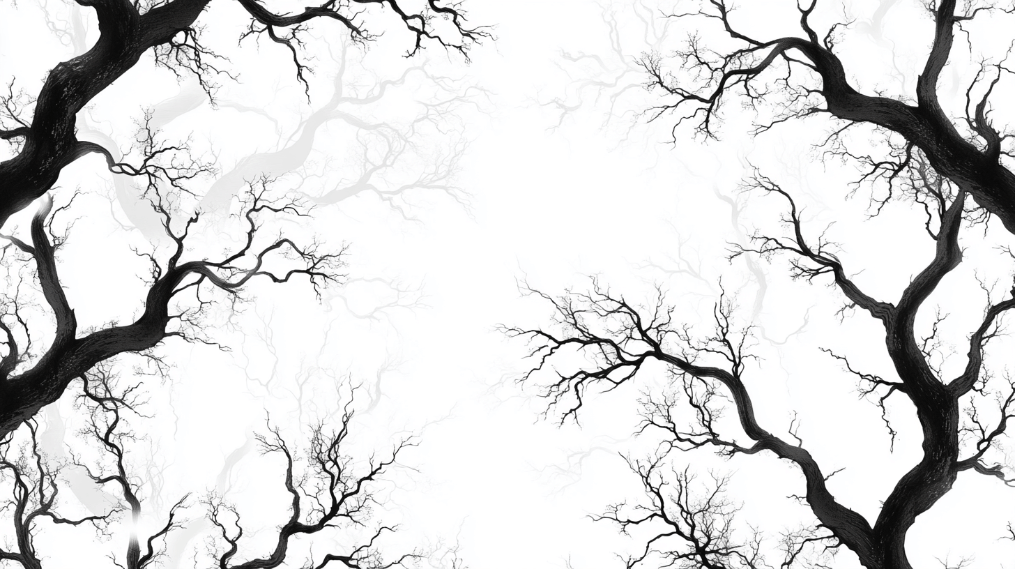 Black Tree and Bench Wallpaper | Murals Wallpaper
