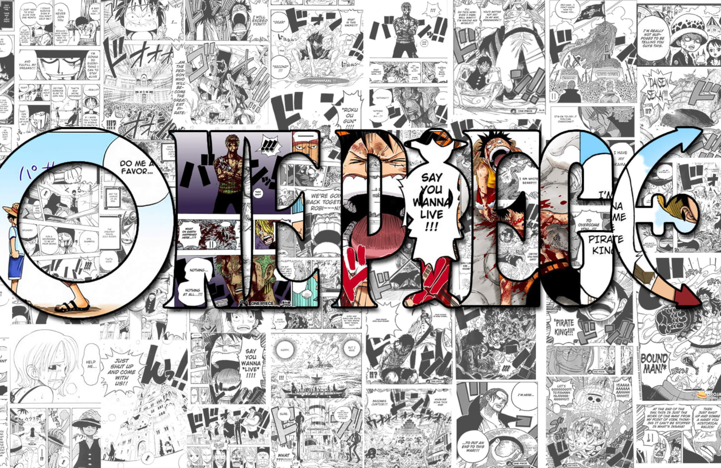 One Piece Black and White Journal Wallpaper | Murals Wallpaper