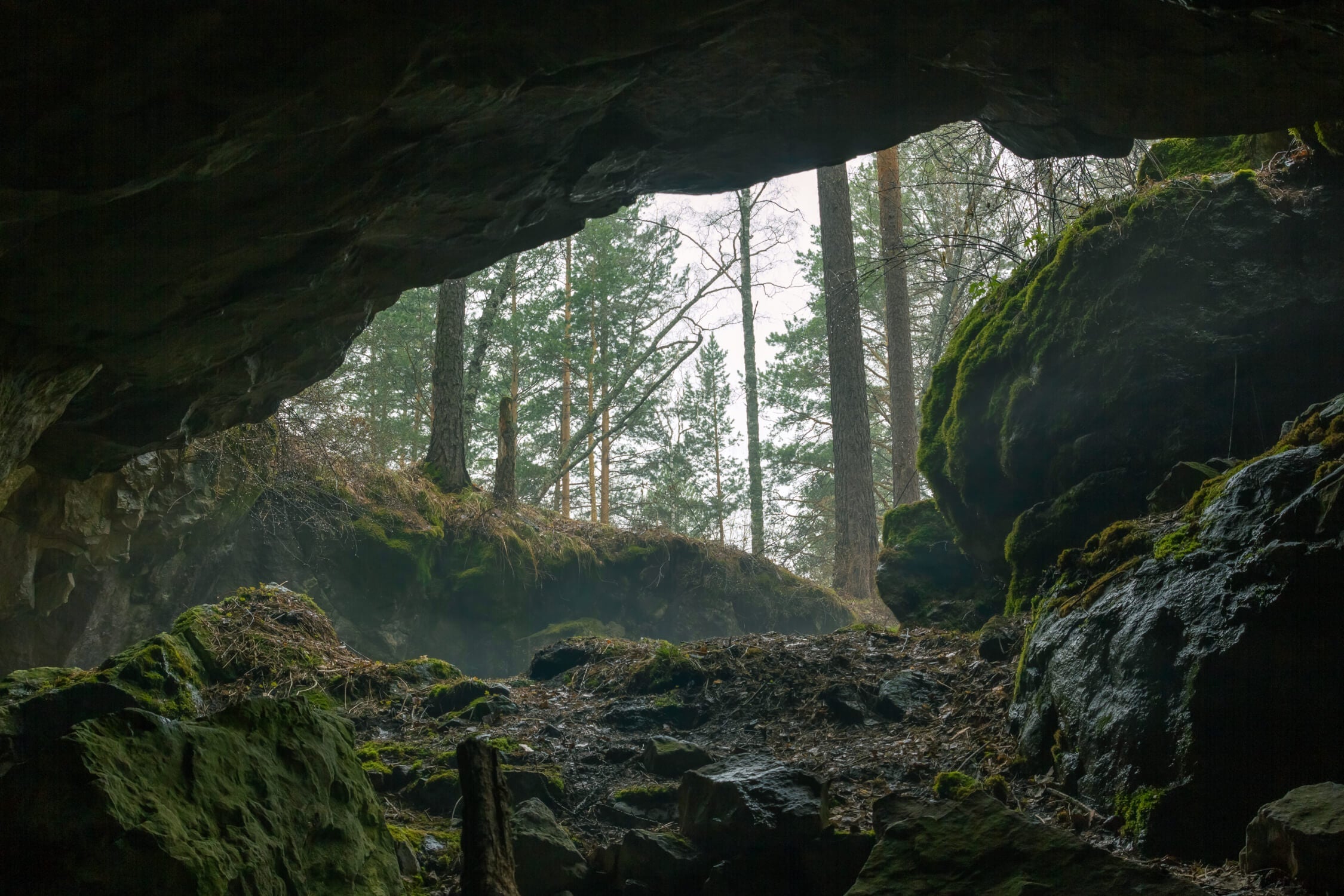 Nature Faux Finish Wallpaper | Murals Wallpaper