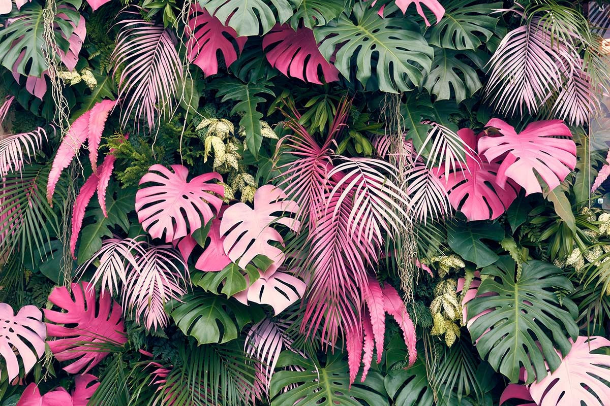 Mural Pink Jungle Wallpaper
