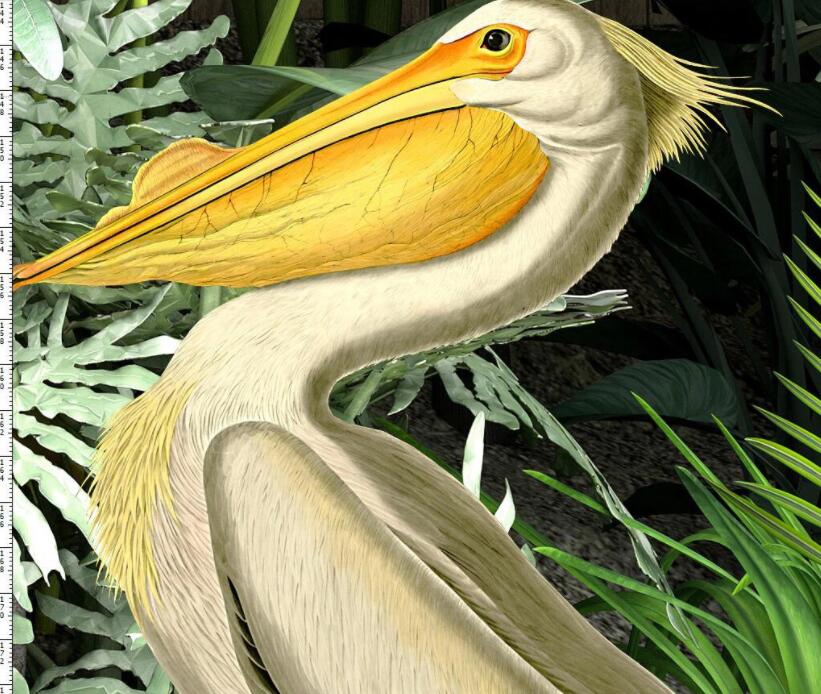 Nature Wallpaper for Adult Bedroom | Murals Wallpaper