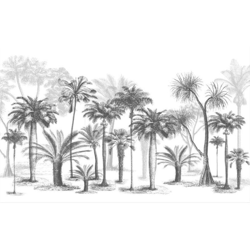 Papier Peint Noir und Blanc Forêt