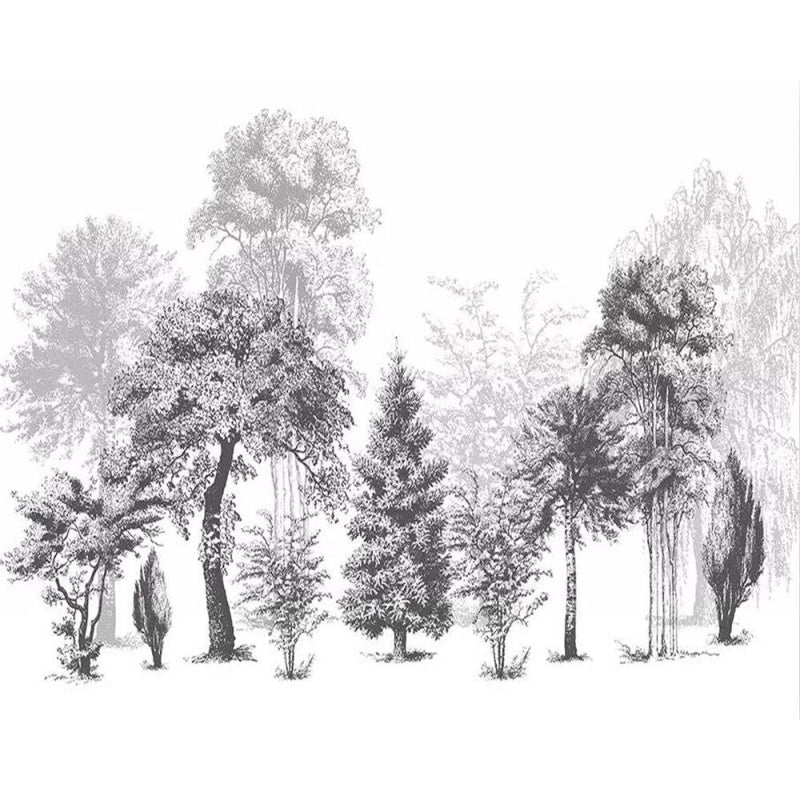 Papier Peint Noir und Blanc Forêt