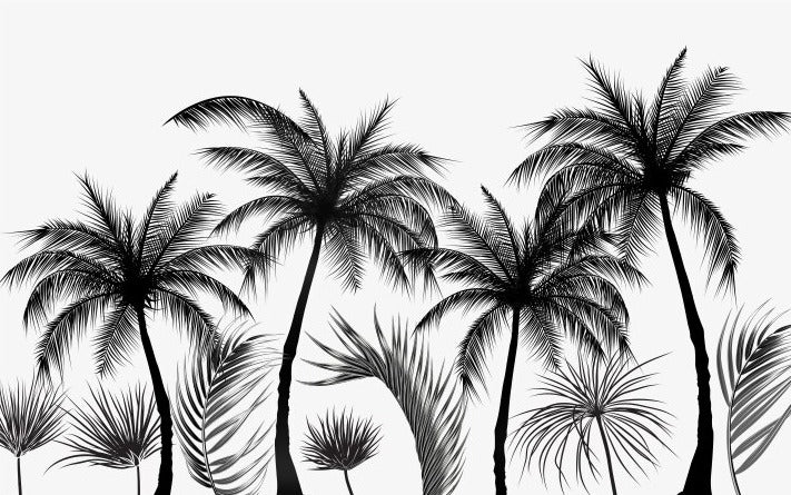 Mural Black and White Panoramic Wallpaper with Trees