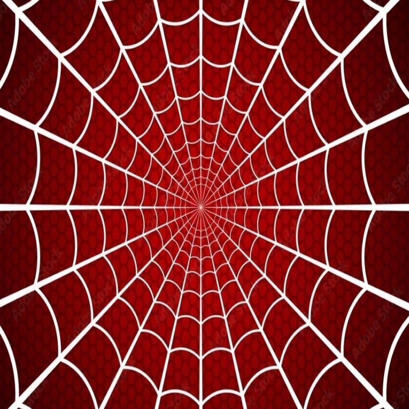 XXL Spiderman Wallpaper | Murals Wallpaper