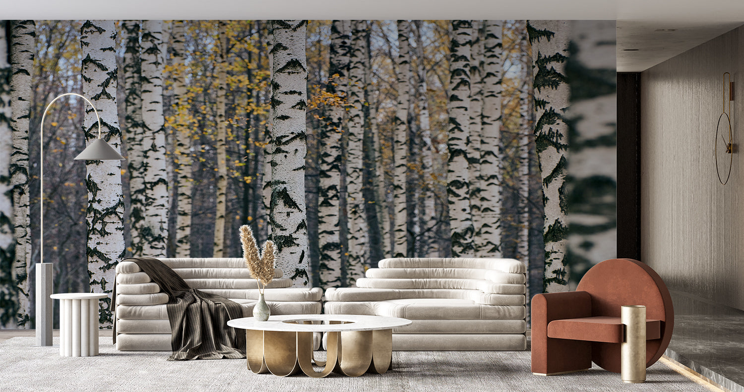 Forest Effect Wallpaper | Murals Wallpaper