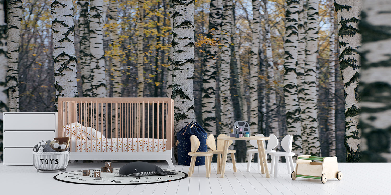 Forest Effect Wallpaper | Murals Wallpaper