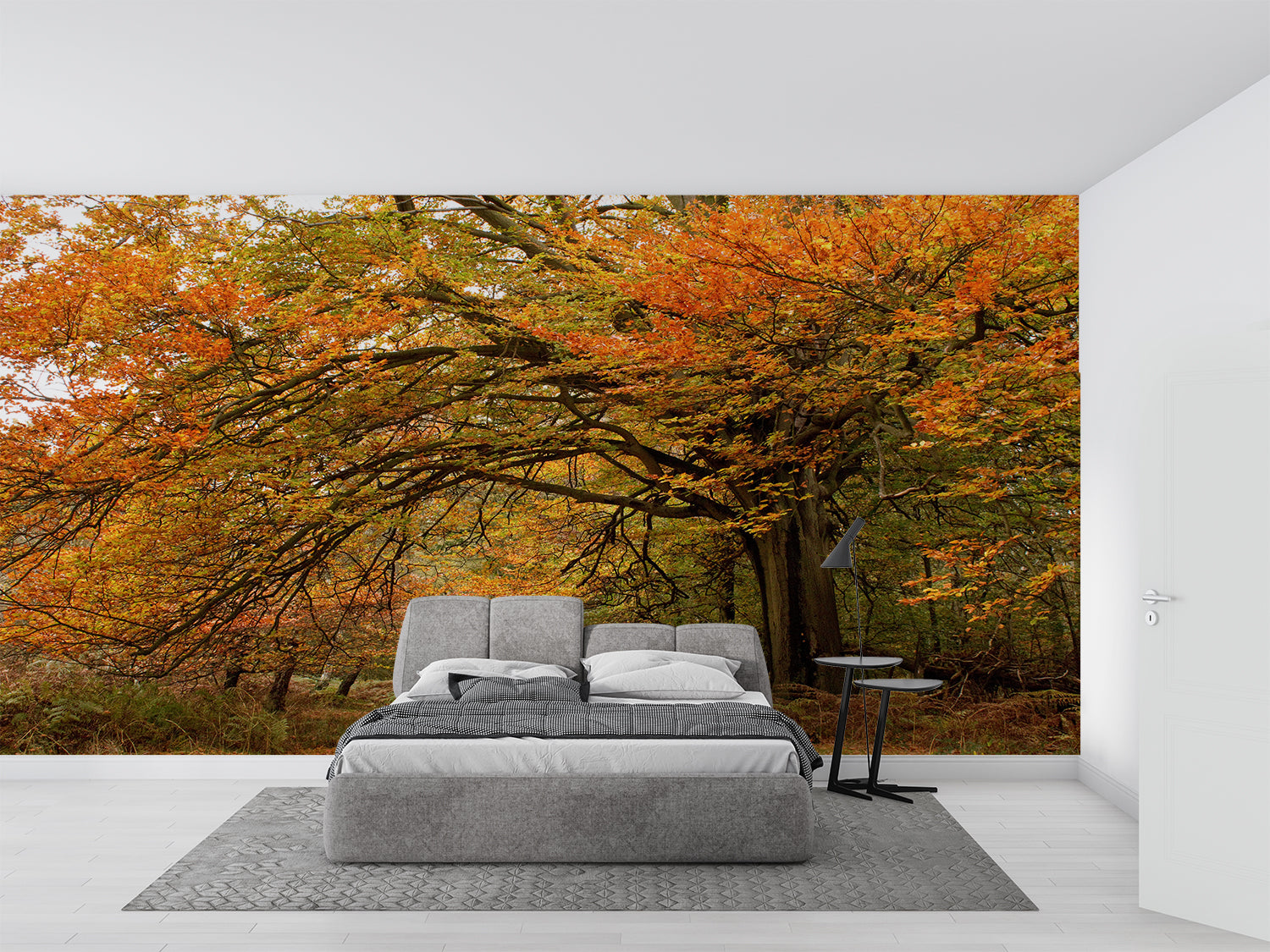 Autumn Forest Wallpaper | Murals Wallpaper