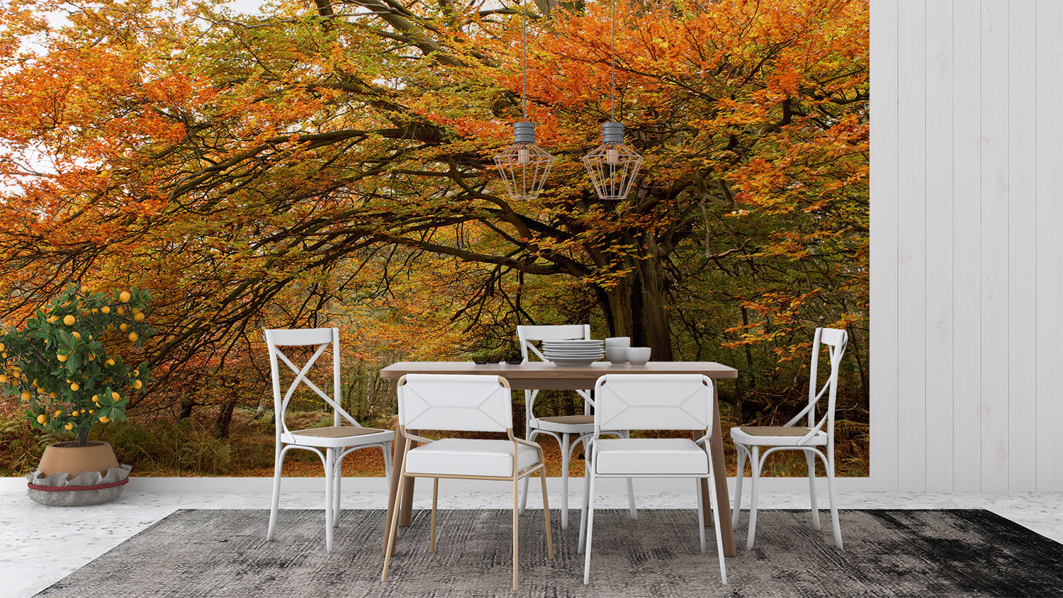 Herbstwaldtapete | Murals Wallpaper