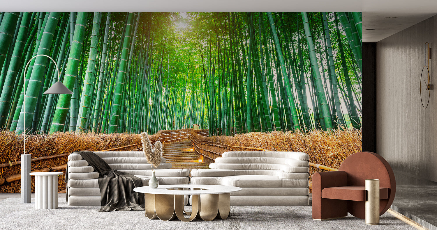 Bambuswaldtapete | Murals Wallpaper