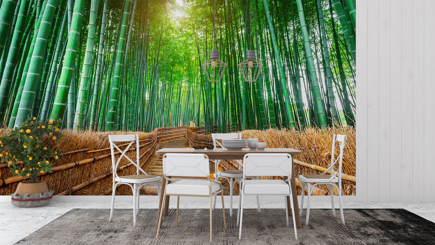 Bambuswaldtapete | Murals Wallpaper