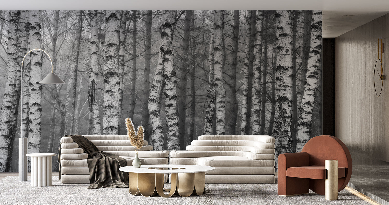Birkenwald-Tapete | Murals Wallpaper