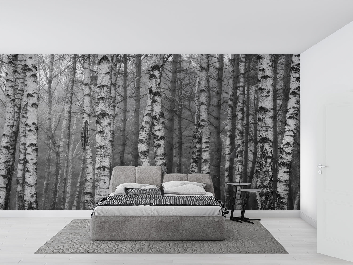 Birch Forest Wallpaper | Murals Wallpaper