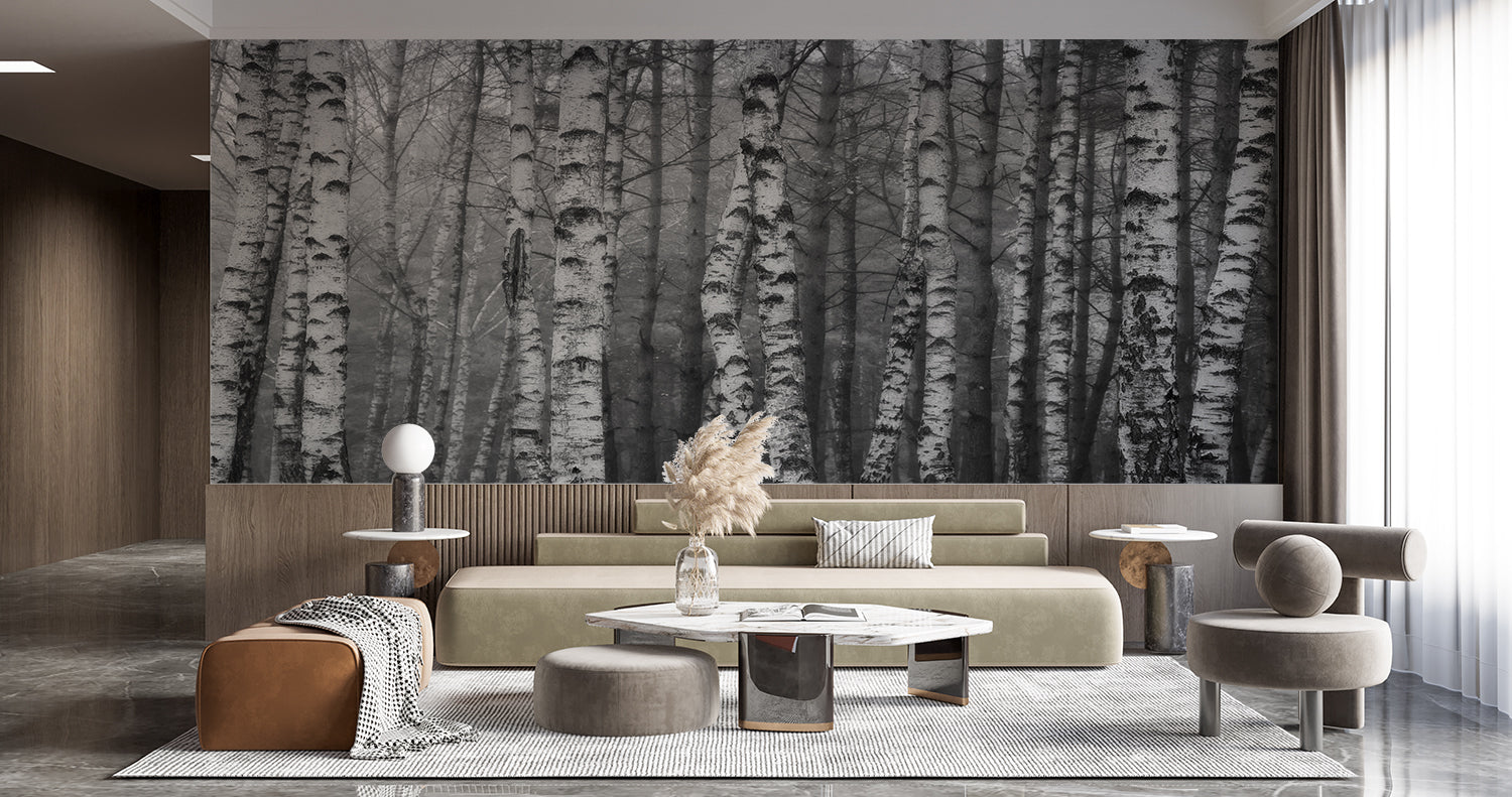 Birch Forest Wallpaper | Murals Wallpaper