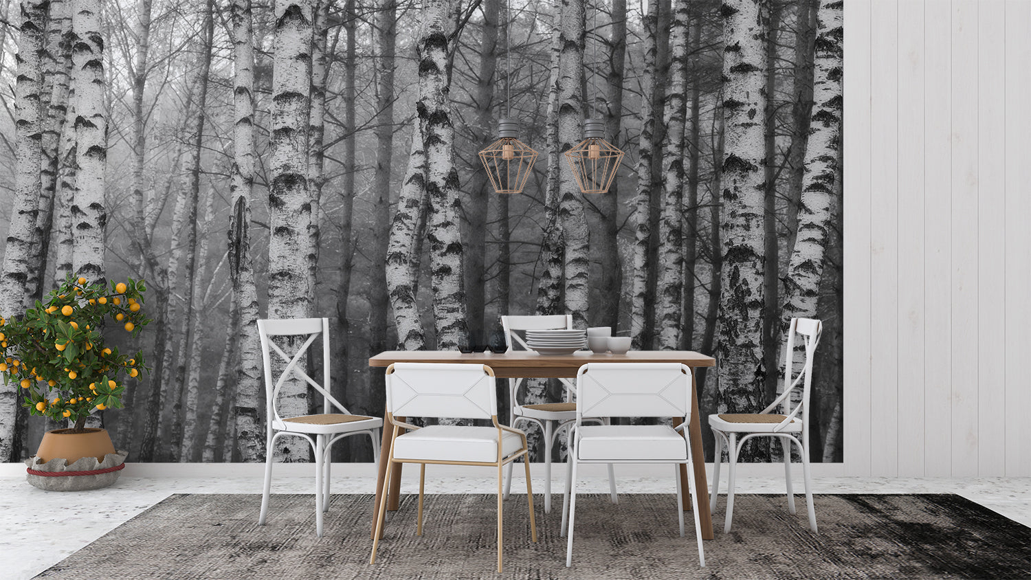 Birkenwald-Tapete | Murals Wallpaper