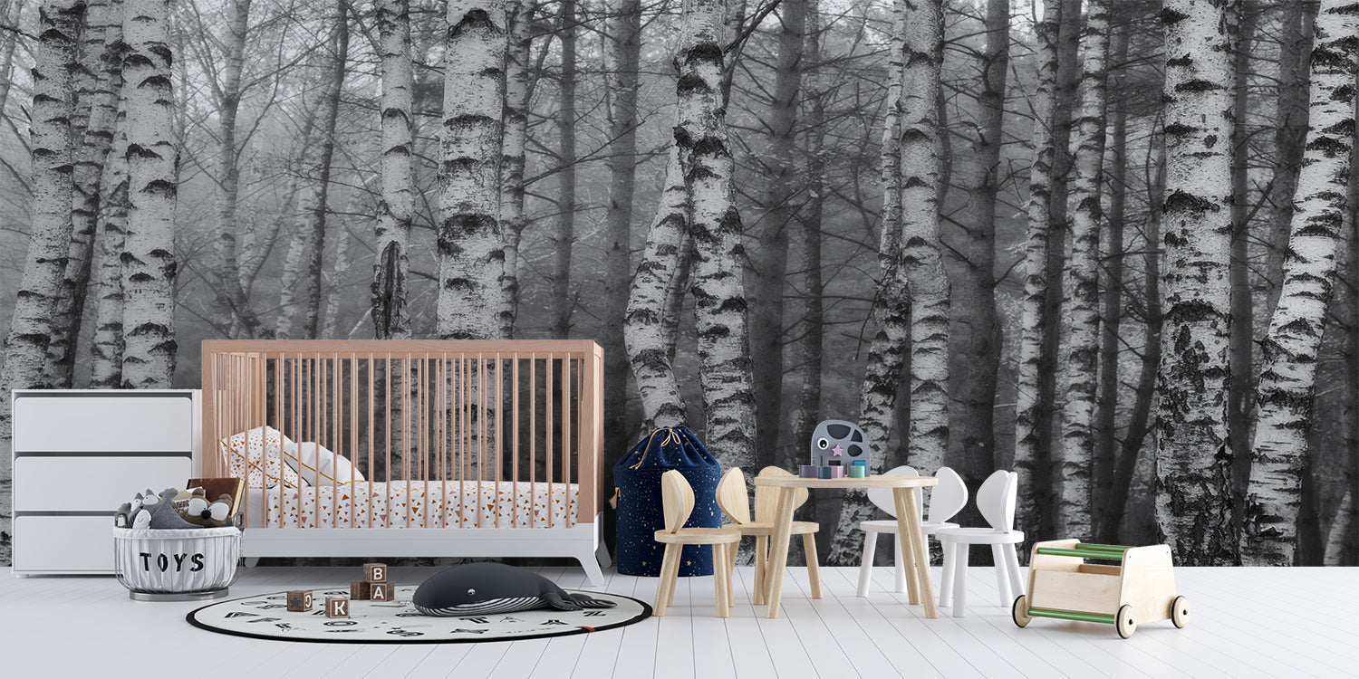 Birch Forest Wallpaper | Murals Wallpaper