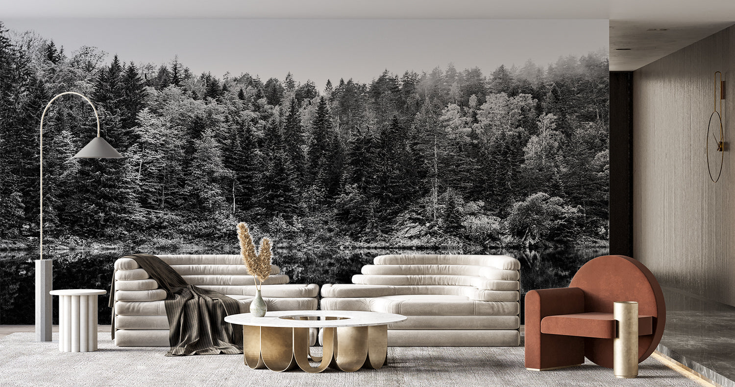 Black Forest Wallpaper | Murals Wallpaper