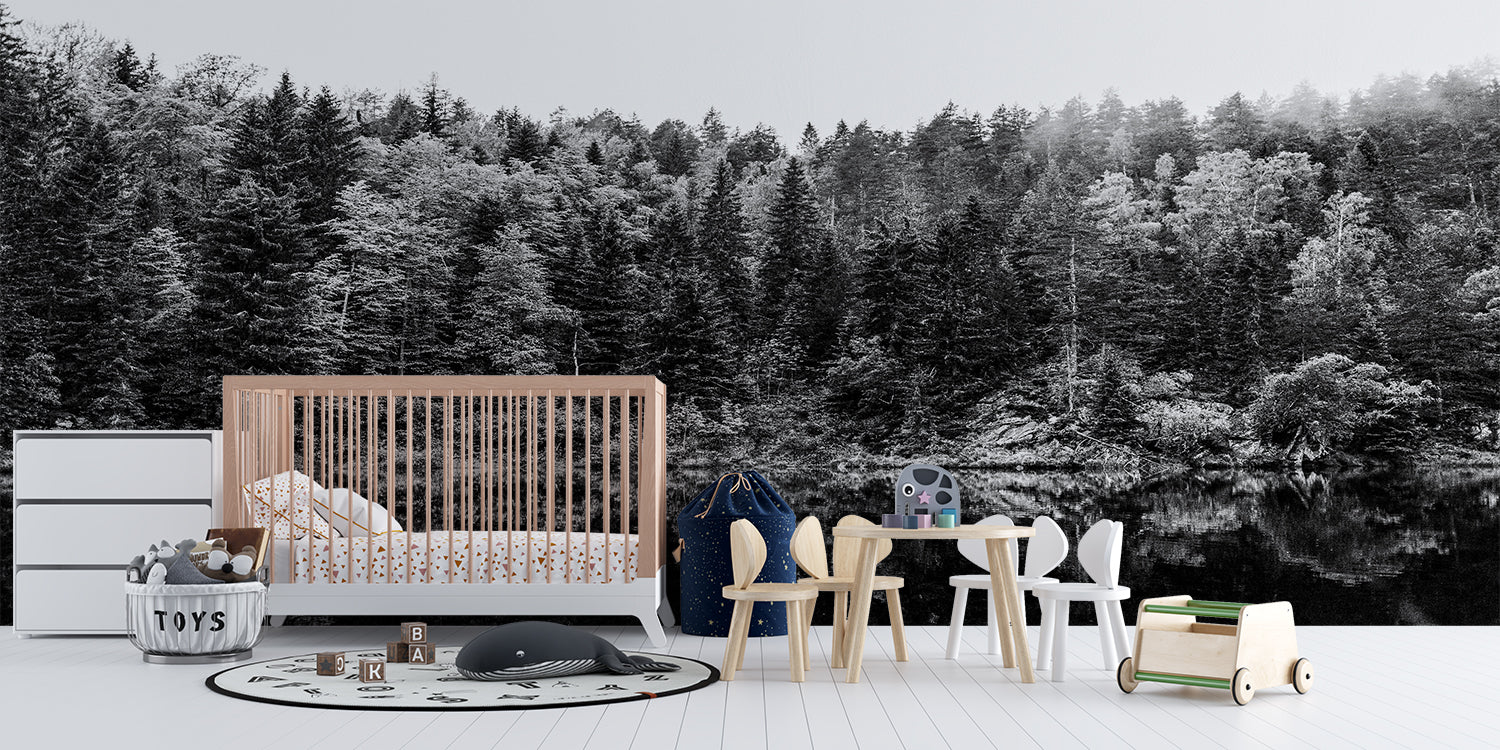 Black Forest Wallpaper | Murals Wallpaper